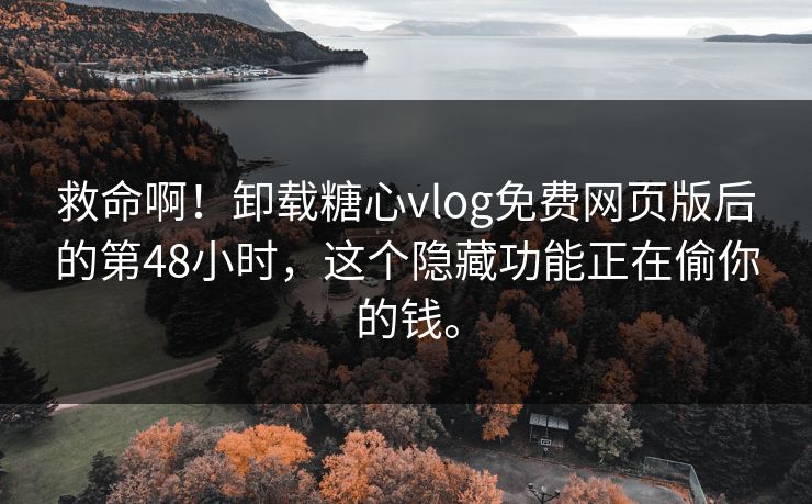 救命啊！卸载糖心vlog免费网页版后的第48小时，这个隐藏功能正在偷你的钱。