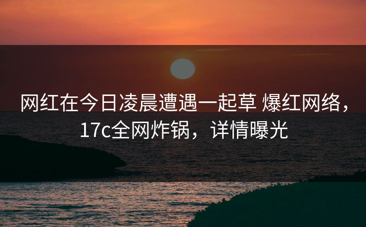 网红在今日凌晨遭遇一起草 爆红网络，17c全网炸锅，详情曝光