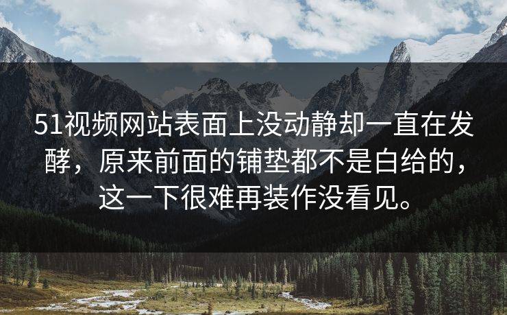 51视频网站表面上没动静却一直在发酵，原来前面的铺垫都不是白给的，这一下很难再装作没看见。
